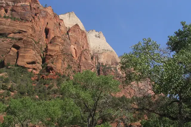 The Zion Canyon Scenic Drive winding along the canyon floor below tall sandstone walls.