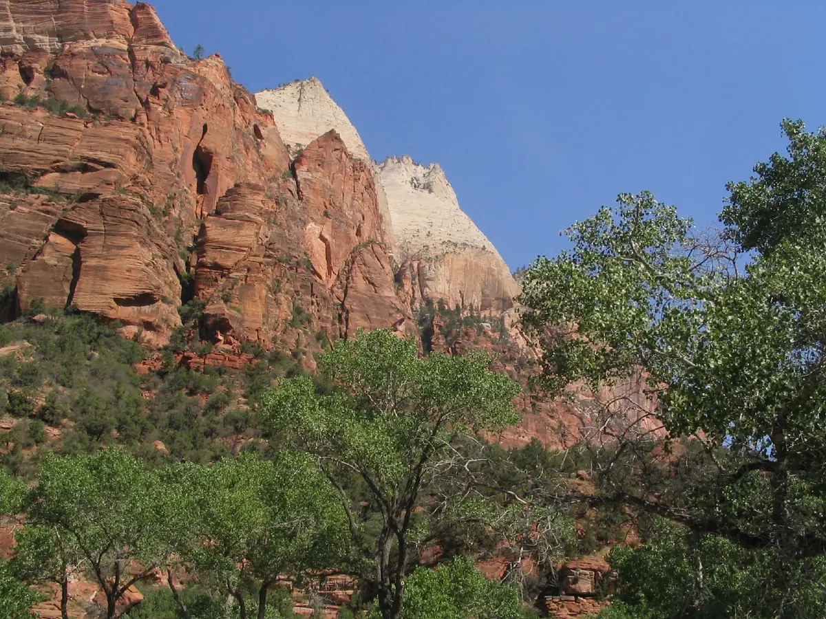 The Zion Canyon Scenic Drive winding along the canyon floor below tall sandstone walls.