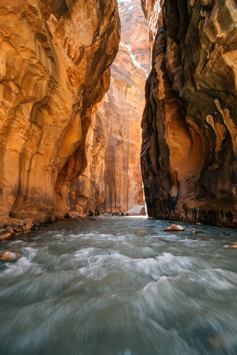Hikers wading the Virgin River between tall canyon walls in The Narrows.