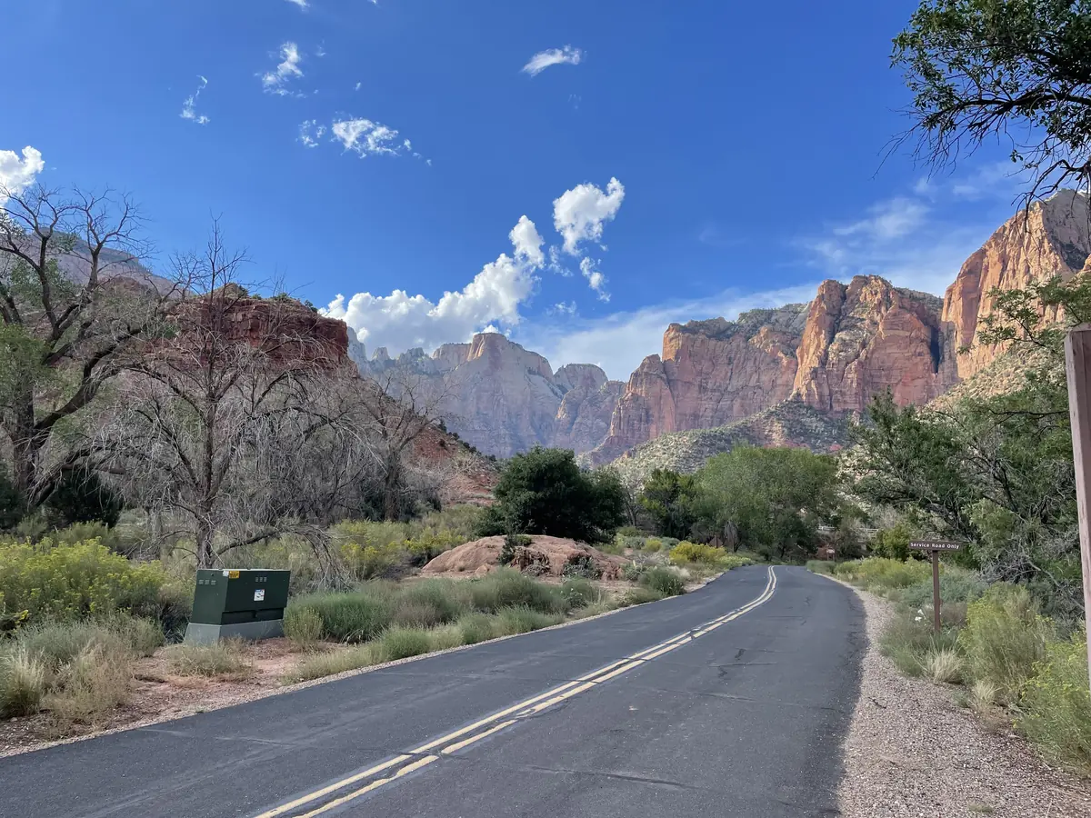 The Zion Canyon road beside the Pa’rus Trail with green trees and red cliffs under a blue sky.