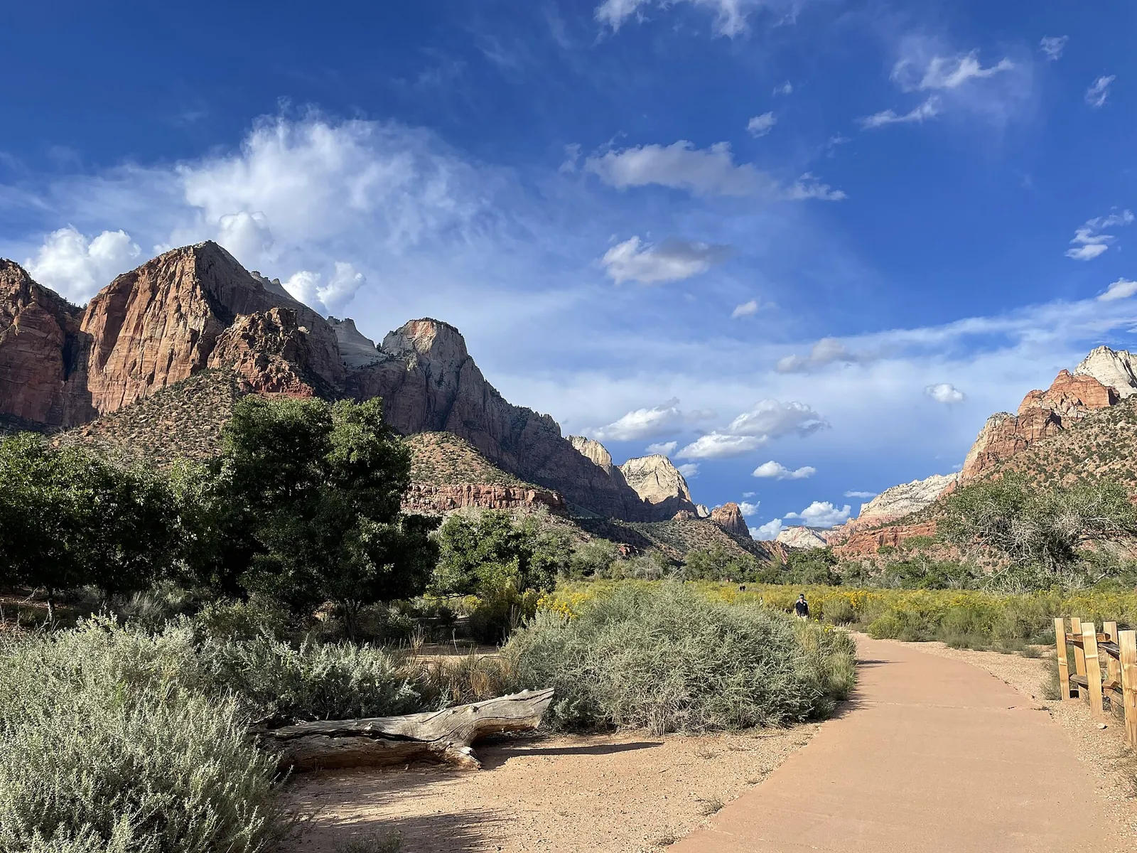 A paved path curving toward red and white cliffs on the Pa’rus Trail in Zion National Park.