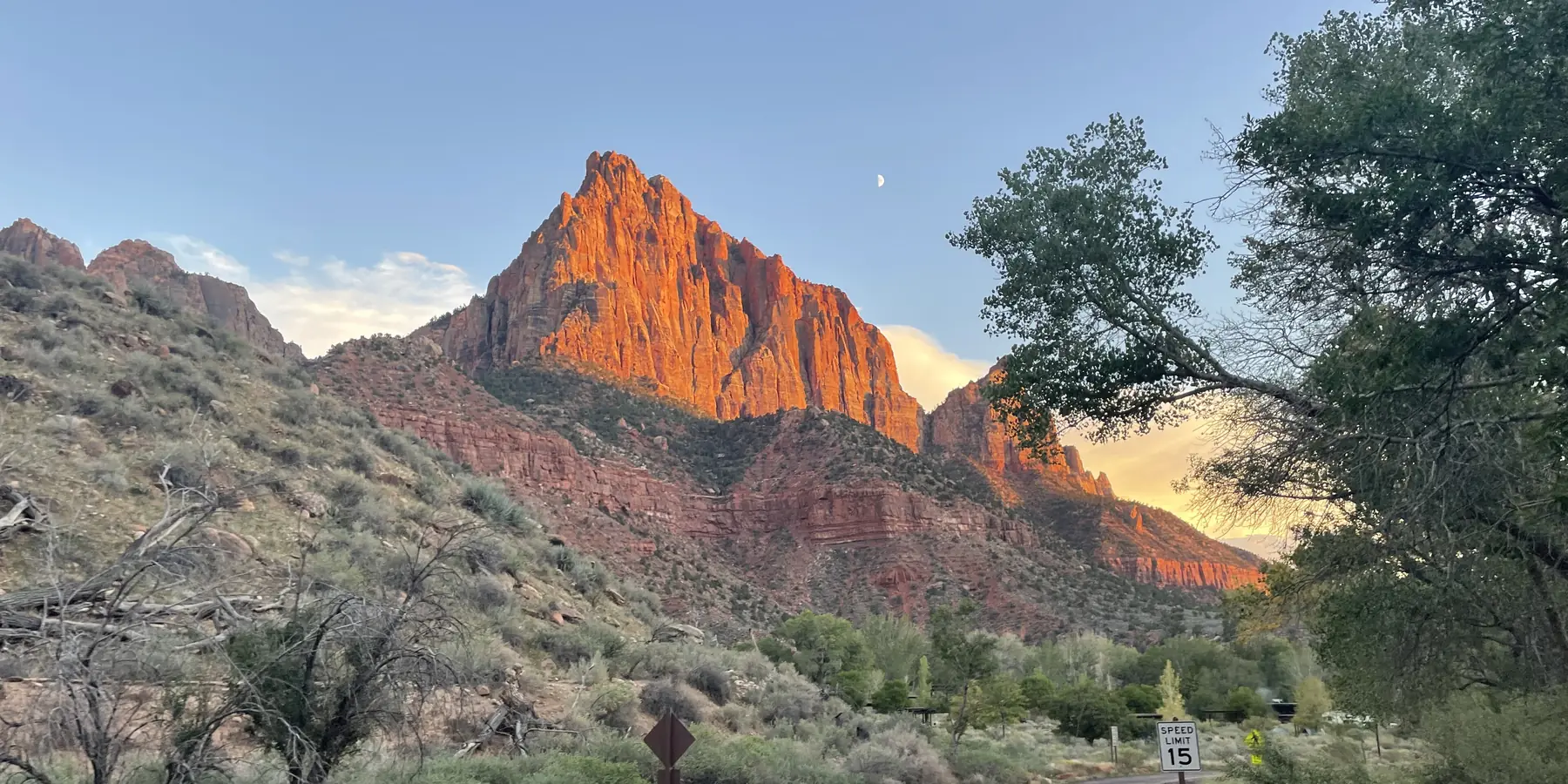 Sunset glow on the Watchman peak above the road into Watchman Campground, Zion National Park.