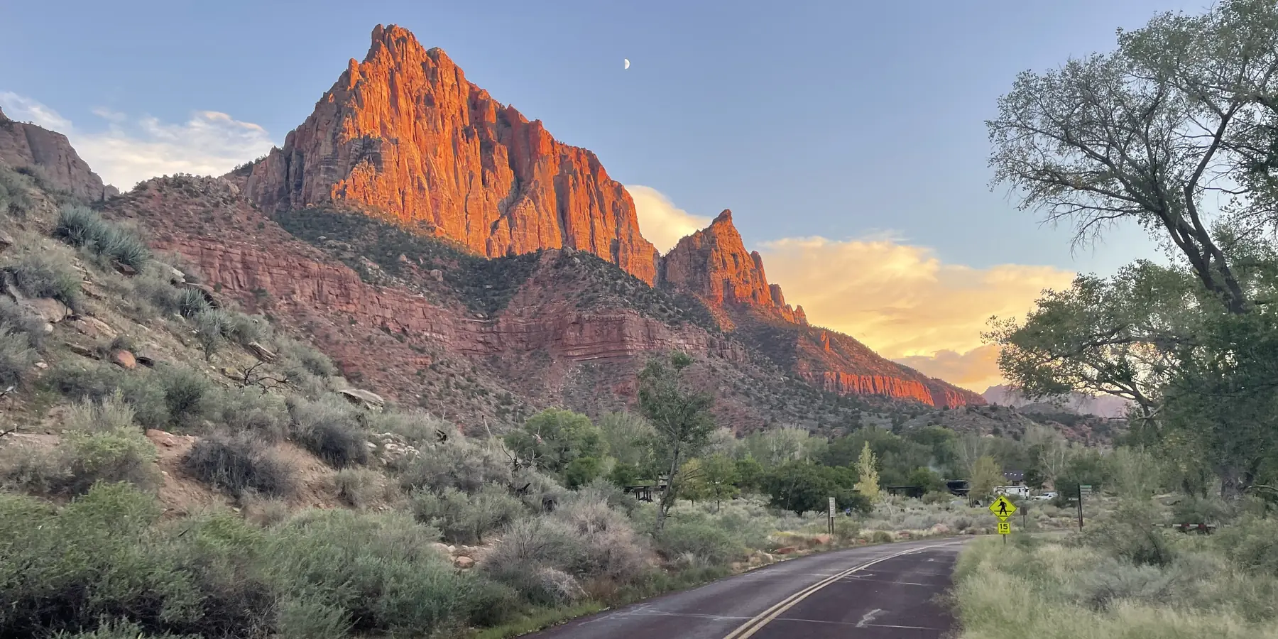 The Watchman lit orange at sunset above a curving road and green trees, Zion National Park.