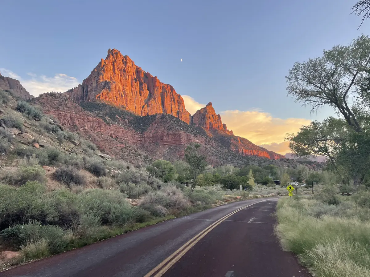 The Watchman lit orange at sunset above a curving road and green trees, Zion National Park.