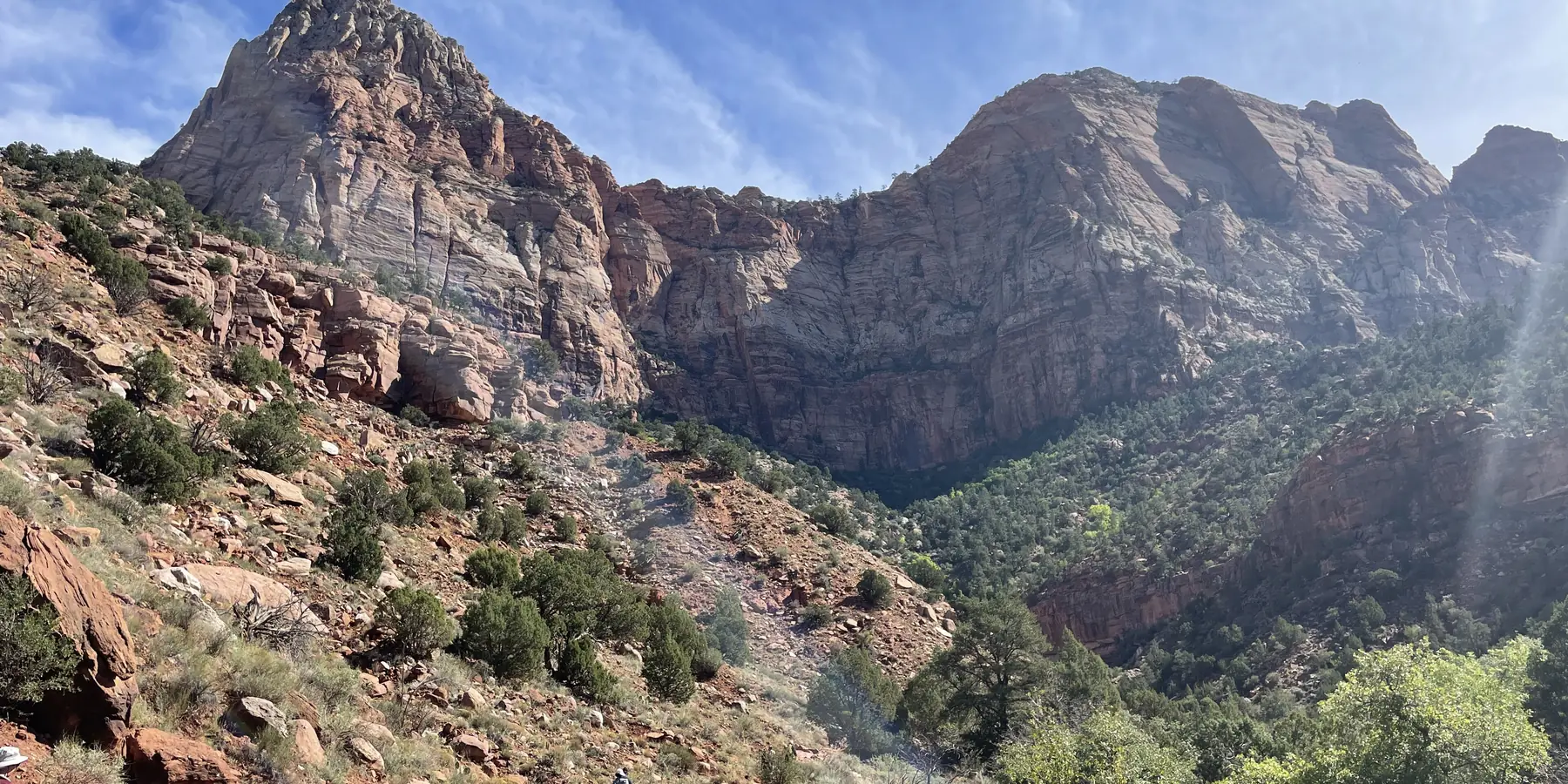 Red and cream cliffs and green desert shrubs seen from the Watchman Trail, Zion National Park.