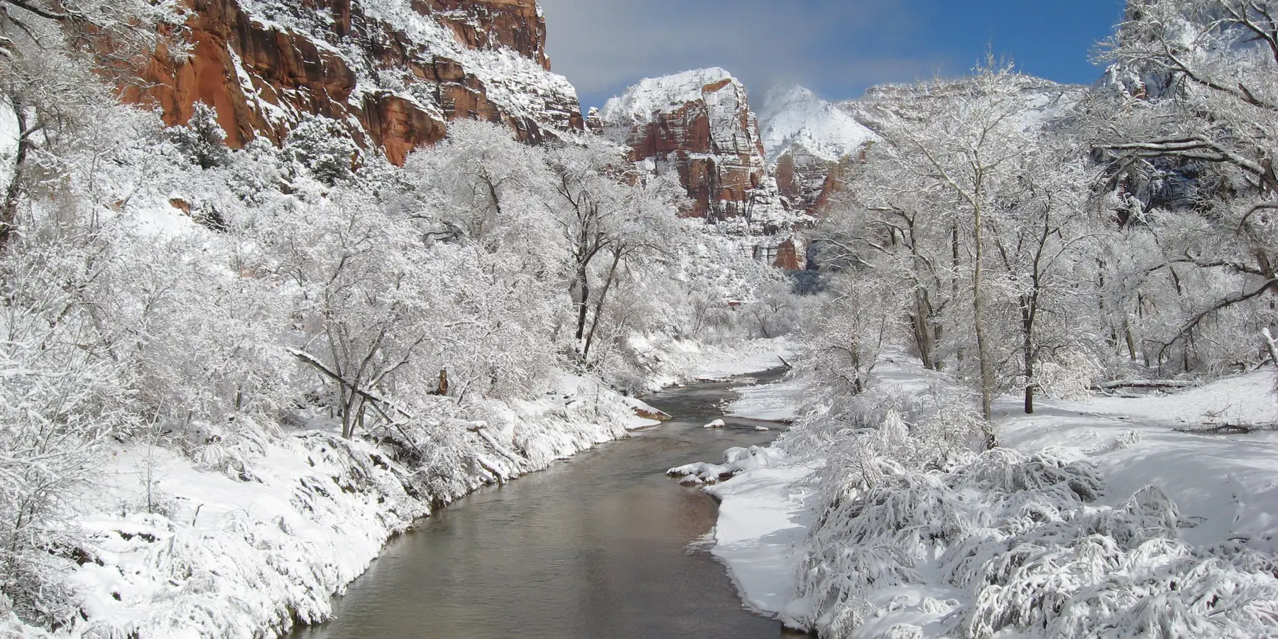 Snow on cottonwoods and red cliffs along the Virgin River in winter, Zion National Park.
